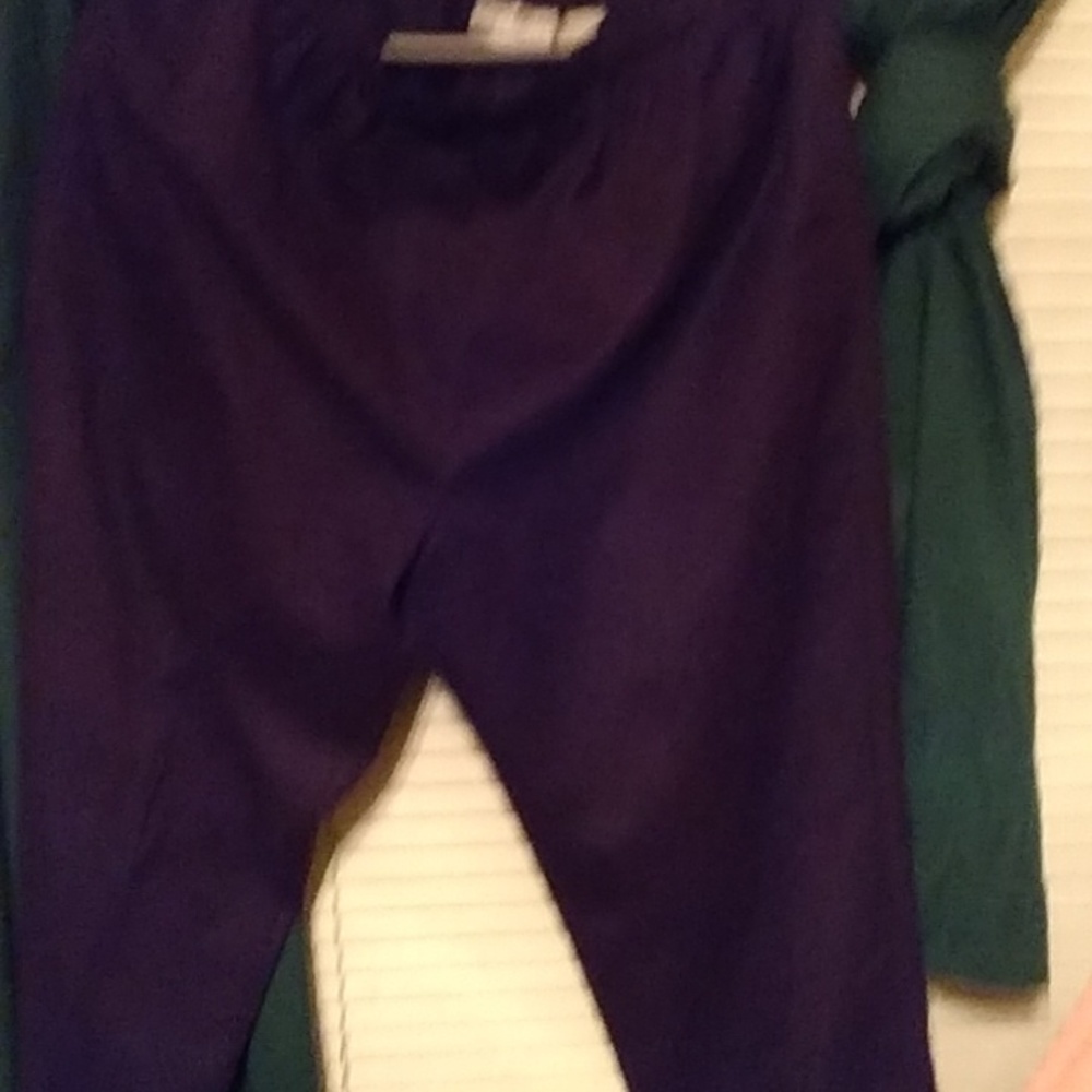 A women's purple dress pants size 6 very nice